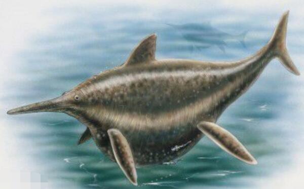 沙尼龙：北美洲大型水生恐龙（长21/鲸鱼与海豚的结合体）