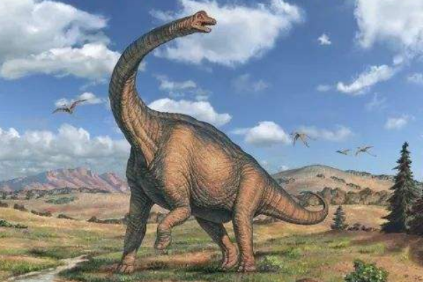 世界最长恐龙：梁龙 最长超过30米(光尾巴就长达14米)