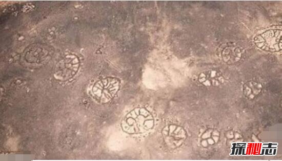 秘鲁纳斯卡线上石轮图案之谜，二千年前的巨画/外星人所为