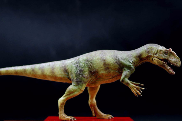 巨型肉食恐龙：矮异特龙 仅出土一根腿骨(推测身高极矮)