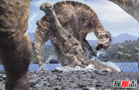 古代淡水帝王帝鳄，嘴巴巨大一口吞掉恐龙(13米/11吨)