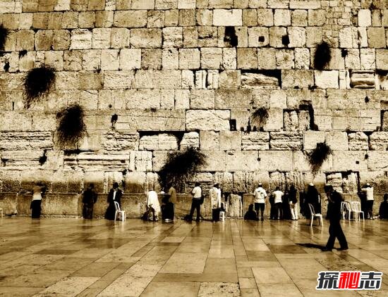 耶路撒冷哭墙流泪事件之谜，哭墙真的会流泪吗(自然现象)