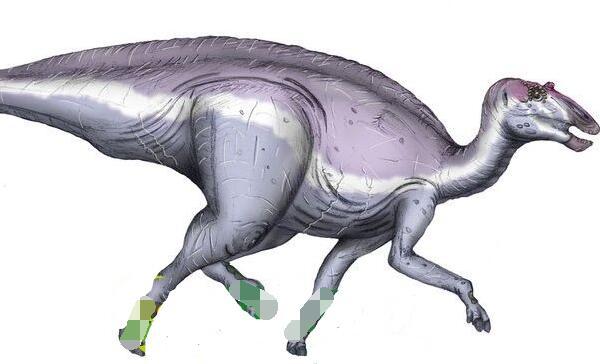 独孤龙：阿根廷小型食草恐龙（长3米/距今6500万年前）