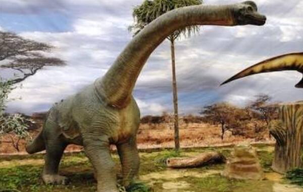 波塞东龙：已知最高的恐龙（17米高/北美洲超巨型恐龙）