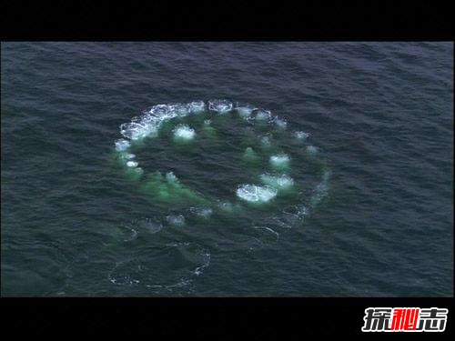 世界十大幽灵潜艇,揭秘诡异背后的故事