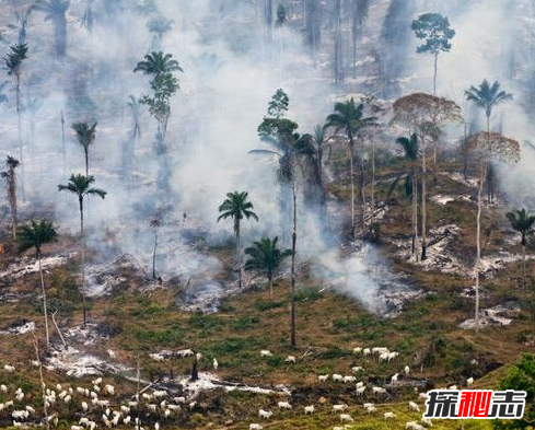 世界上有长生不死的人吗?亚马逊森林死不了的人奥鲁·乌加欧