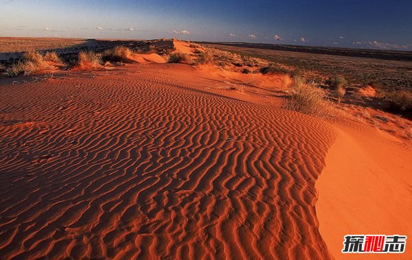 澳大利亚辛普森沙漠:红色的沙漠(鲜红如血)