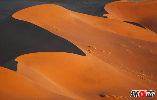 纳米比亚的纳米比沙漠:有大象的沙漠(世界唯一一处)