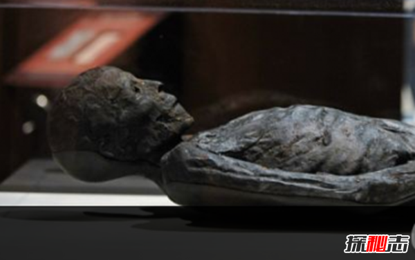 巴基斯坦卡拉奇的木乃伊之谜,2600年前的木乃伊(长196厘米高56厘米)