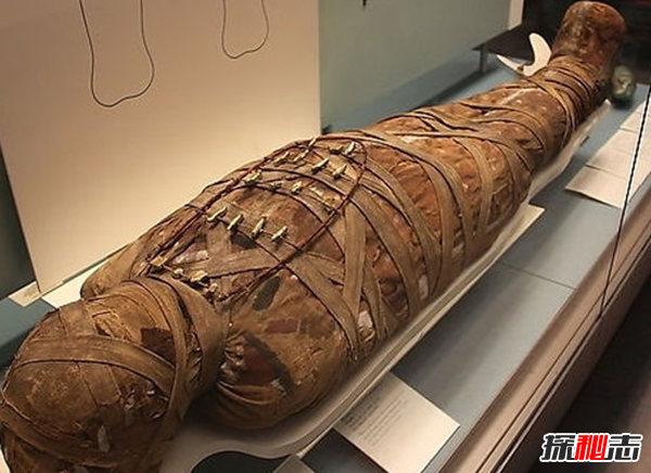 巴基斯坦卡拉奇的木乃伊之谜,2600年前的木乃伊(长196厘米高56厘米)