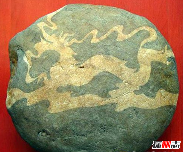 湖北林归县工地发现天然龙形石,图案完整清晰(重307公斤)