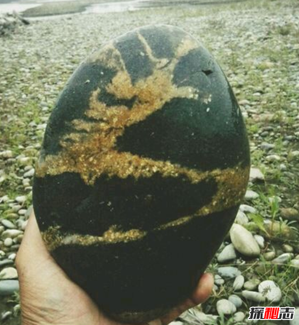 湖北林归县工地发现天然龙形石,图案完整清晰(重307公斤)