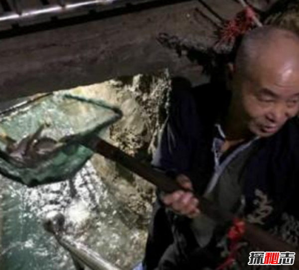 重庆巫溪鱼泉之谜,每年汛期泉中喷出千斤鱼