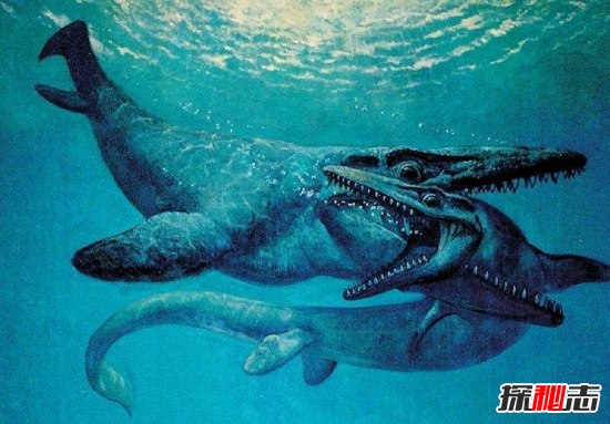 史上最恐怖的巨兽沧龙，曾称霸整个地球(蜥蜴进化而来)