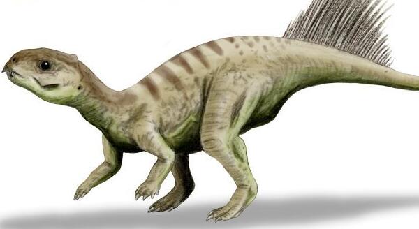 朝阳龙：辽宁小型食草恐龙（长2米/距今1.45亿年前）