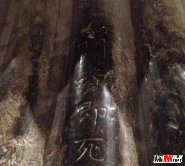 中国最邪门的古墓 石棺鲜血淋漓上面刻着诅咒