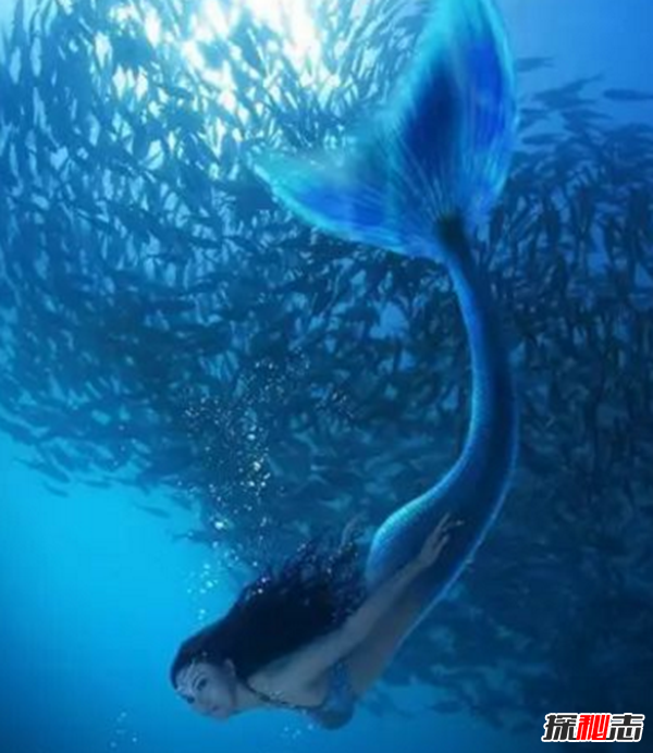 亚特兰蒂斯人鱼之谜,平均寿命达三百岁以上(居住海底最底层)