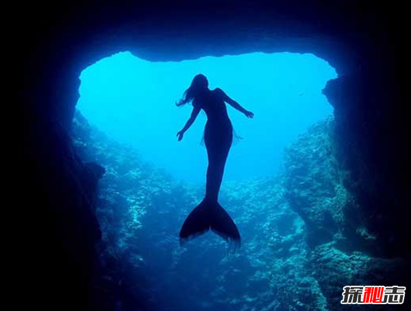 亚特兰蒂斯人鱼之谜,平均寿命达三百岁以上(居住海底最底层)