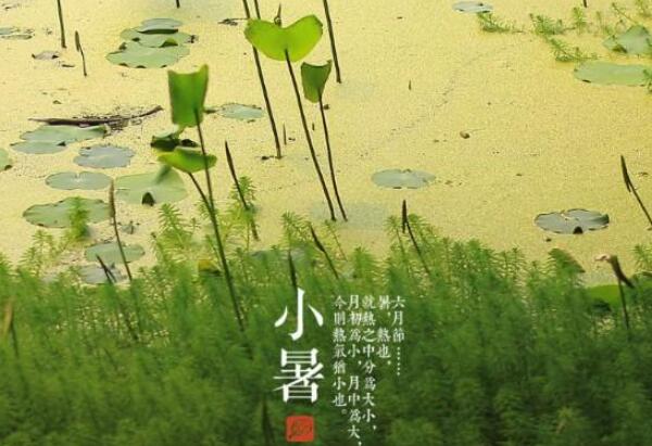 小暑节气的含义是什么，盛夏的开始（每年的7月6-8日）