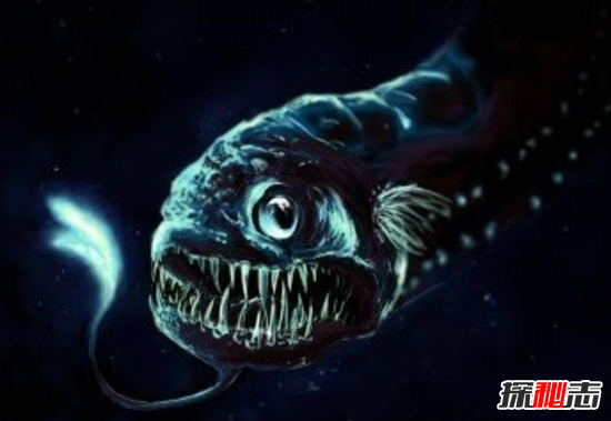 世界海底最恐怖的生物