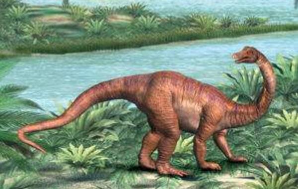 禄丰龙：中国第一个登上邮票的恐龙（长6米/云南出土）