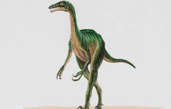卞氏龙：年代最早的侏罗纪恐龙（长1-3米/中国云南出土）