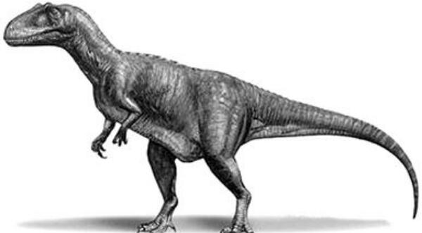 吉兰泰龙：中国大型食肉恐龙（长13米/距今8900万年前）
