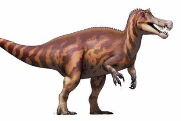 大型食肉恐龙:激龙 脑袋酷似鳄鱼(体长达10米)