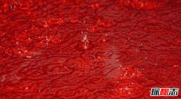 美国1869年加州下血雨 气旋带来红色的尘土（神奇的现象）