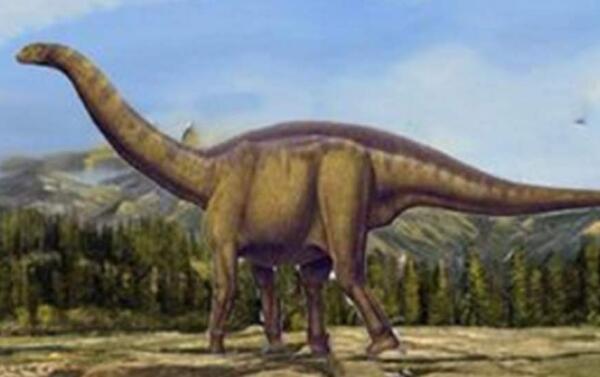 峨眉龙：侏罗纪后期大型食草恐龙（长21米/中国四川出土）