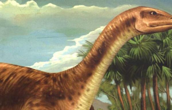 原颌鸟：四川巨型食草恐龙（长20米/距今1.6亿年前）