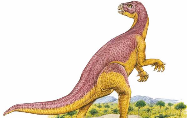 晓龙：四川小型植食性恐龙（长1米/食肉恐龙的最佳口粮）