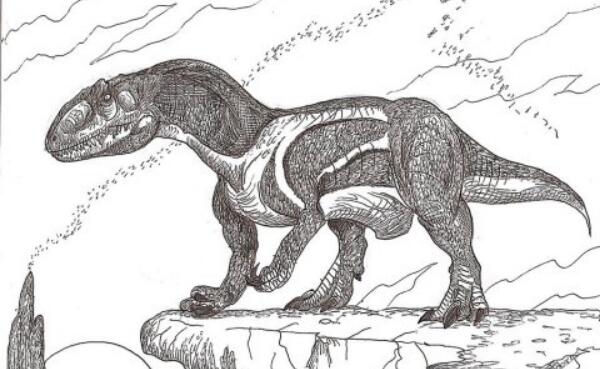 宣汉龙：唯一四足行走的食肉恐龙（长6米/中国四川出土）
