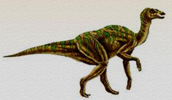 盐都龙：四川小型杂食性恐龙（长1.5米/距今1.63亿年前）