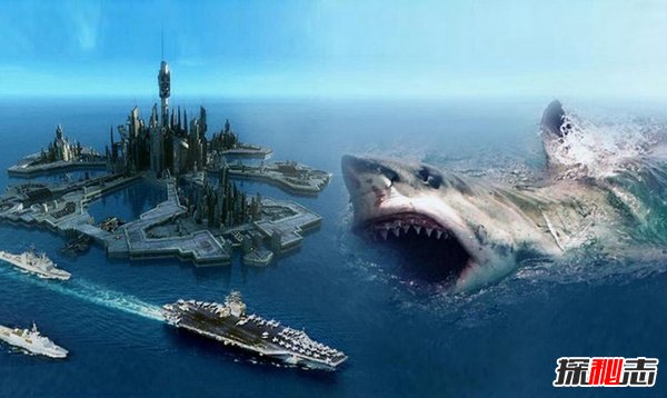 远古海洋超强霸主 巨齿鲨的天敌是谁（顶级掠食者）