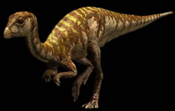 雷利诺龙：视力最好的食草恐龙（长0.9米/澳大利亚出土）