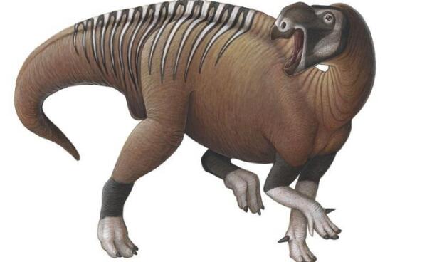 木他龙：澳大利亚大型食草恐龙（长7米/距今9750万年前）
