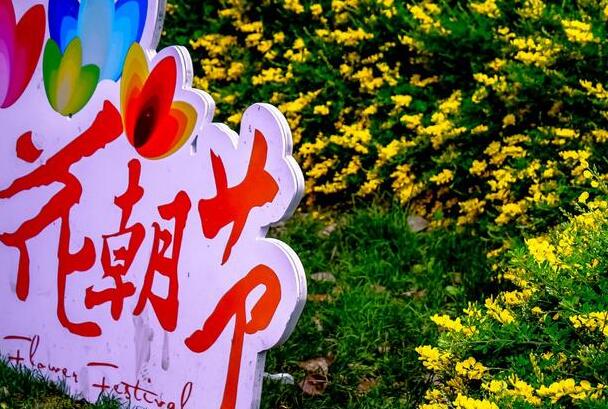 花朝节的由来和风俗：纪念百花的生日，郊外游览赏花