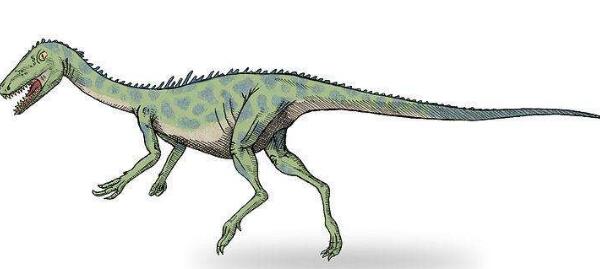 小力加布龙：阿根廷小型食肉恐龙（长0.7米/1.25亿年）