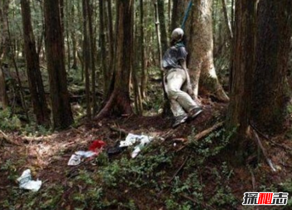 富士山下为什么恐怖?每年自杀死亡人数成百上千