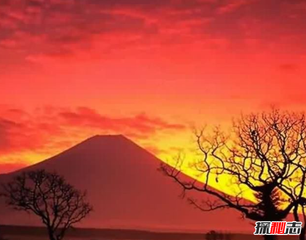 富士山下为什么恐怖?自杀死亡人数成百上千