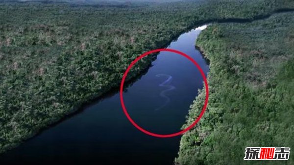 看世界上最长的大蛇 !卫星拍到世界上最大蛇（假图）