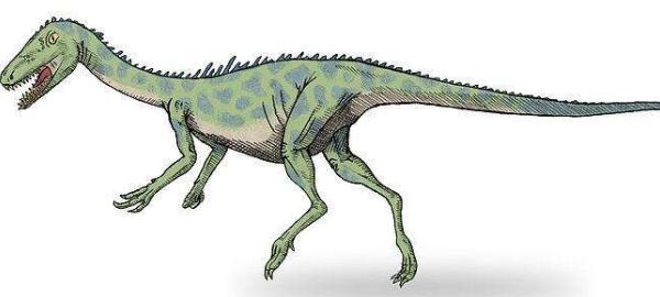 西北阿根廷龙：长1.8米的小型食肉恐龙（6500万年前）