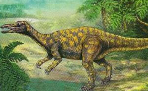 崇高龙：阿根廷大型食肉恐龙（长8米/距今1亿年前）
