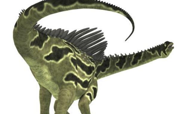 奥古斯丁龙：阿根廷大型食草恐龙（15米/尾巴有身长一半）