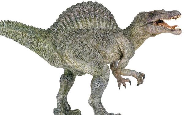 亚马逊龙：巴西大型食草恐龙（长12米/距今1.67亿年前）