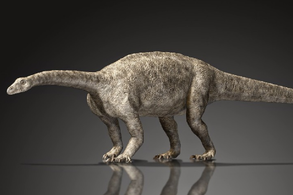 莱森龙:南美大型蜥脚类恐龙(体长10米/脖子细长)