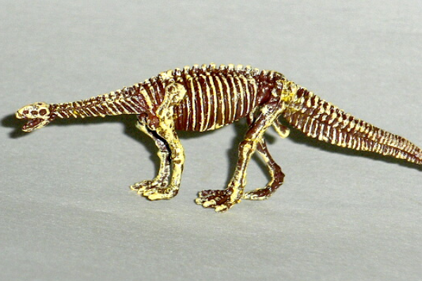 莱森龙:南美大型蜥脚类恐龙(体长10米/脖子细长)