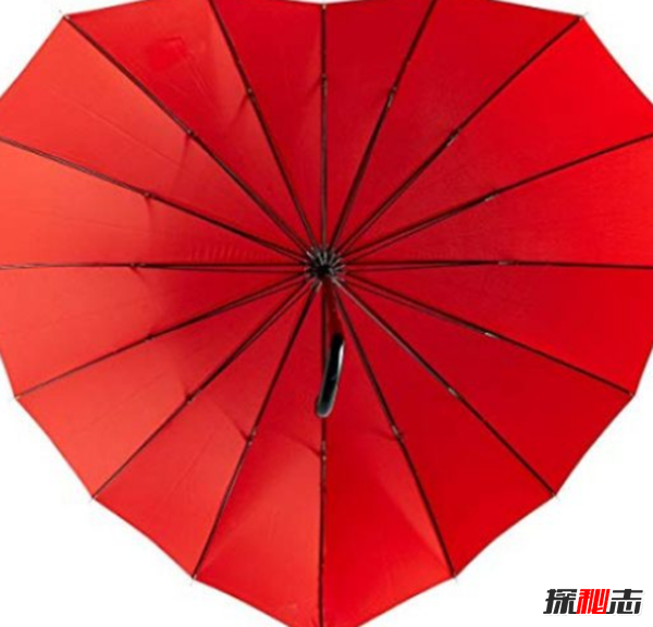 奇形怪状的雨伞你都见过吗?15把极其独特的雨伞