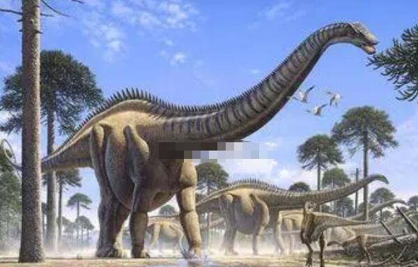 大谜龙：阿根廷大型食草恐龙（长6米/距今8600万年前）